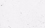 Horizontal Image.png